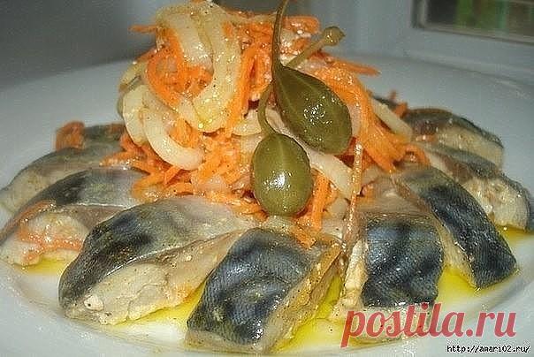 Готовим вкусную скумбрию

Рецепт очень простой, но по нему получается очень вкусная эта рыбка скумбрия. Не проходите мимо этой вкуснятины. Гарнир может быть любой.

Ингредиенты:

скумбрия - 2 шт.

лук репчатый - 2 шт. морковь - 1 шт. уксус, майонез по вкусу.

Рыбу промыть и порезать на кусочки толщиной 2 см. Морковь потереть, лук мелко порезать. Уложить рыбу на сковородку, посолить, поперчить, засыпать луком и морковкой и залить соусом.

Соус: в 300 мл кипятка положить 1 с...