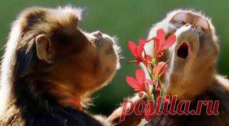 Подборка прикольных фотографий - 4 | Фотомонтаж