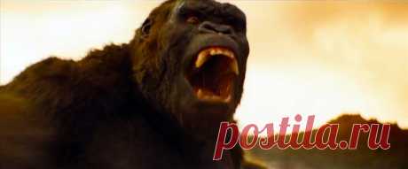 Кинг-Конг