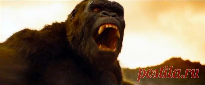 Кинг-Конг