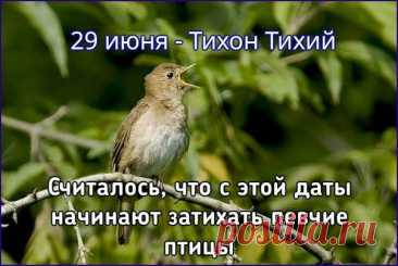 Народный праздник Тихон Тихий отмечается 29 июня