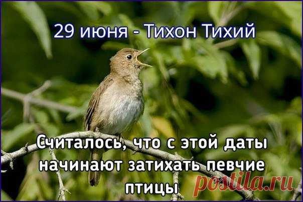 Народный праздник Тихон Тихий отмечается 29 июня