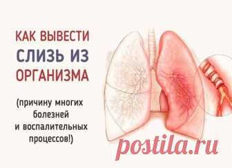Простые способы избавления от слизи в организме