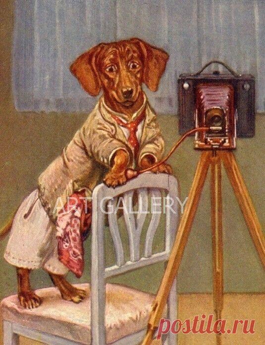 Dressed DACHSHUND is PHOTOGRAPHER Photography Art Antique Vintage Image on…