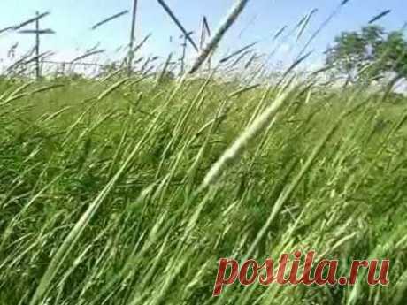с.Шаверки.Республика Мордовия