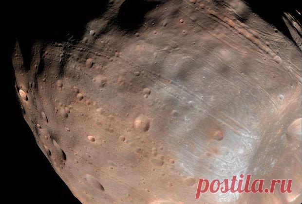 НАСА назвало сроки разрушения Фобоса Марсом | Наука и техника