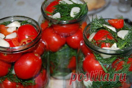 Помидорчики для всех! Выбирайте,на любой вкус!.