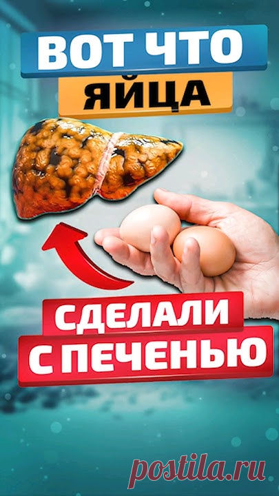 А вы знаете, как яйца влияют на печень?1/6Яичные желтки богаты холином, который способствует удалению жира из печени, предотвращая развитие гепатоза.2/6Яйца ...