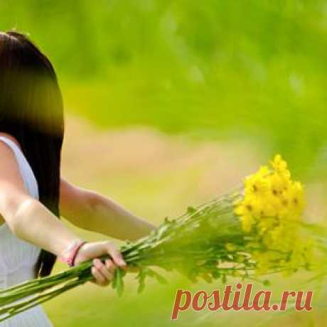 Свобода от Зависимости