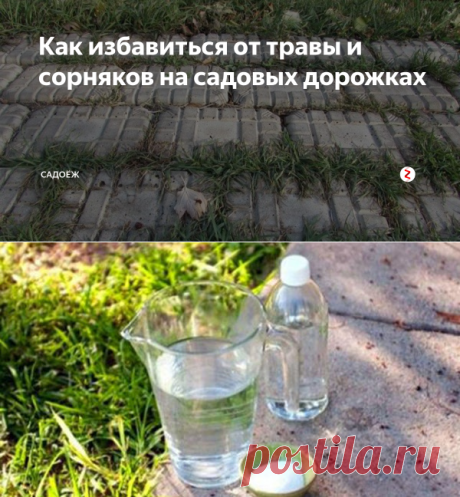 Как избавиться от травы и сорняков на садовых дорожках | садоёж | Яндекс Дзен