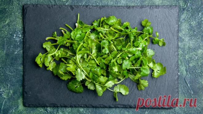 Лучшие маринады для сочного шашлыка | СМОТРИМ | Дзен