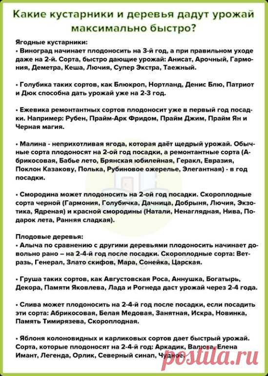 Какие кустарники и деревья дадут урожай максимально быстро? 

Чтобы долго не ждать урожай, попробуйте посадить эти кустарники и плодовые деревья! Выбрать плодово-ягодные растения со скидкой 70% можно здесь https://fas.st/cWDPwu