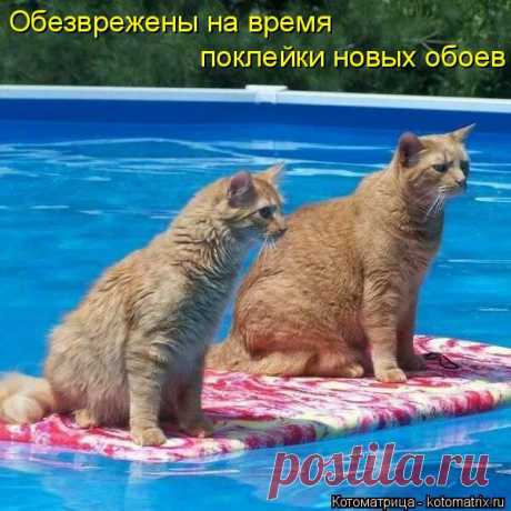 как всегда.