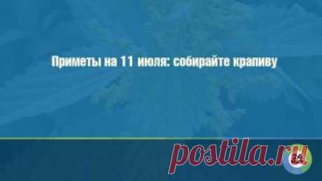 Приметы на 11 июля: собирайте крапиву Сегодня, 11 июля, по народному календарю так называемое крапивное заговенье. Предки считали, что растение обладает особой силой.