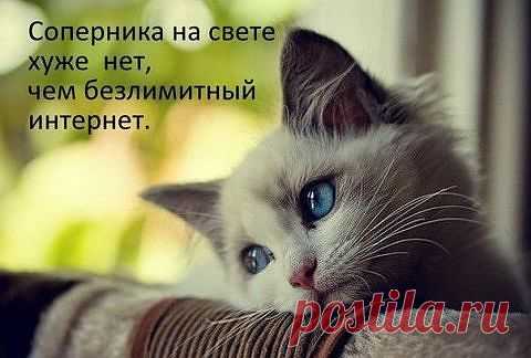 Интернет соперник!