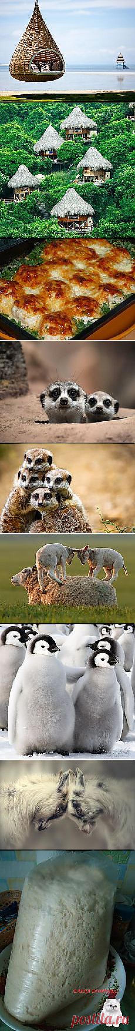 20 оригинальных идей для разнообразного отдыха.... Новое в Вашей подборке на Постила.ru - smolyar-82@mail.ru - Почта Mail.Ru