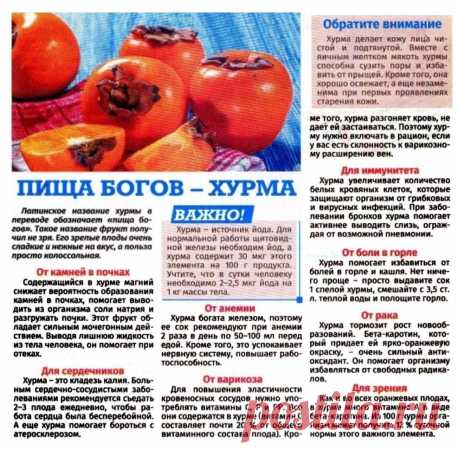 Хурма - пища Богов