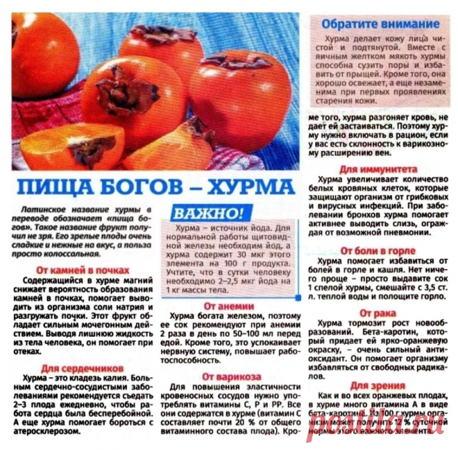 Хурма - пища Богов