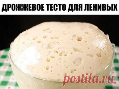 Дрожжевое тесто "Для ленивых"
Я хоть и люблю "возиться" с тестом, но этот рецепт - просто находка! Времени на приготовление нужно всего пять минут. Хранить в холодильнике можно двое-трое суток. Тесто быстро не перекисает. Можно замораживать. Готовлю я из этого теста вкуснейшие пирожки, беляши, булочки, лепешки, пироги с разными начинками, пиццу... Если вы "боитесь" теста или у вас мало времени на его приготовление - попробуйте этот рецепт. Получается у всех!
Молоко — 500 мл
    Мука пшеничная
