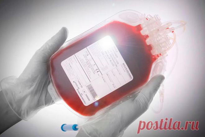 Самая редкая группа крови: кто ею обладает и что в ней ценного