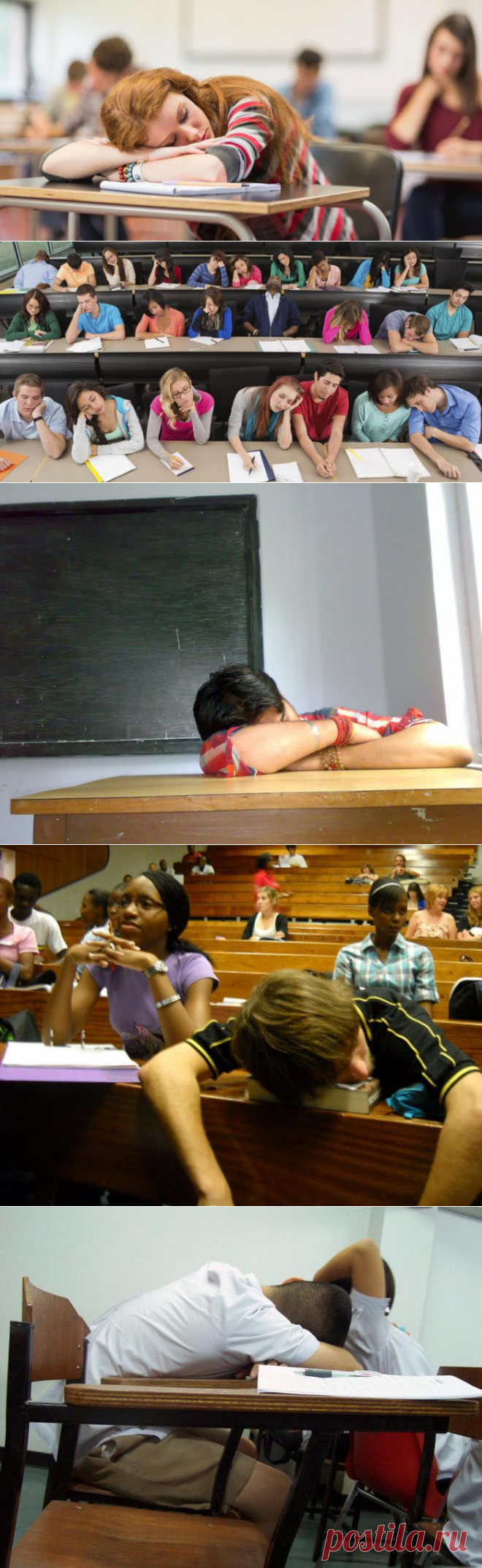 VUZZone - помощь студентам: контрольные, курсовые, дипломные: Оказывается, сон на уроках помогает студентам запоминать новую информацию!