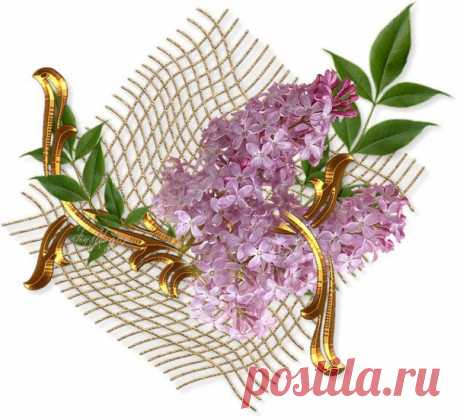 Я больше не обижаюсь на людей, я просто меняю своё мнение о них! Можно вытащить человека из грязи, но вытащить грязь из него вряд ли когда-нибудь получится..