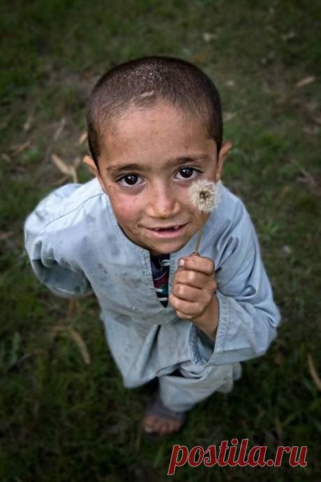 Найдено на сайте afghanistaninphotos.tumblr.com.