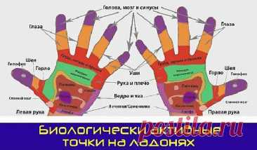 Биологически активные точки на ладонях. Рефлексотерапия. — Домашние заботы