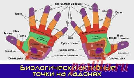 Биологически активные точки на ладонях. Рефлексотерапия. — Домашние заботы