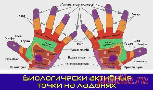 Биологически активные точки на ладонях. Рефлексотерапия. — Домашние заботы
