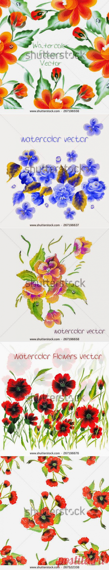 Enjoy: Watercolor Vector Flowers. A Vector Floral Collection. ornamental pattern composition.