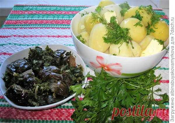 Баклажаны квашеные, очень вкусные и полезные