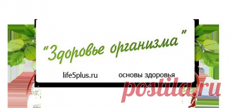 Полезные свойства ржи |