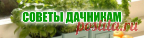 usndr.com/ru/web_letter/5yh9xedjr6oe66ei1i4spqwr3sptnr41u1w1enks3iaqgm76wza8n95iaz5pdwg88