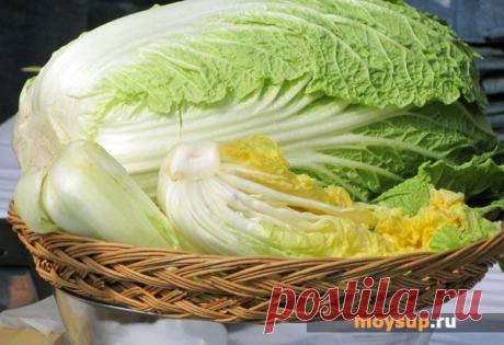 Красочный овощной салат с пекинской капустой и огурцом