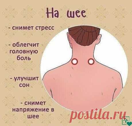 Какие точки массажировать, чтобы улучшить самочувствие
Будьте здоровы и активны!