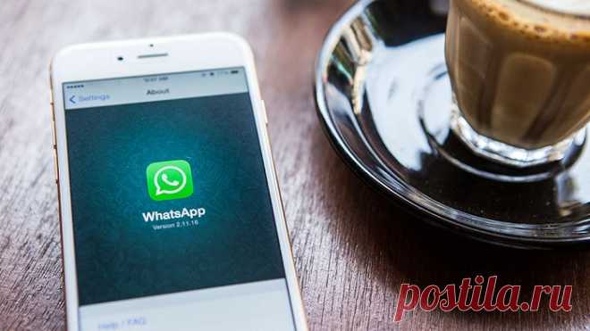 Как добавить контакт в Ватсапе (WhatsApp) по номеру телефона на Айфоне и Андроиде