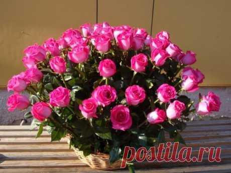 ♡ Музыкальная Открытка — *БУКЕТ ИЗ РОЗ*