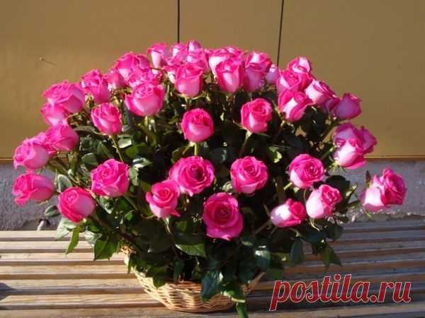 ♡ Музыкальная Открытка — *БУКЕТ ИЗ РОЗ*