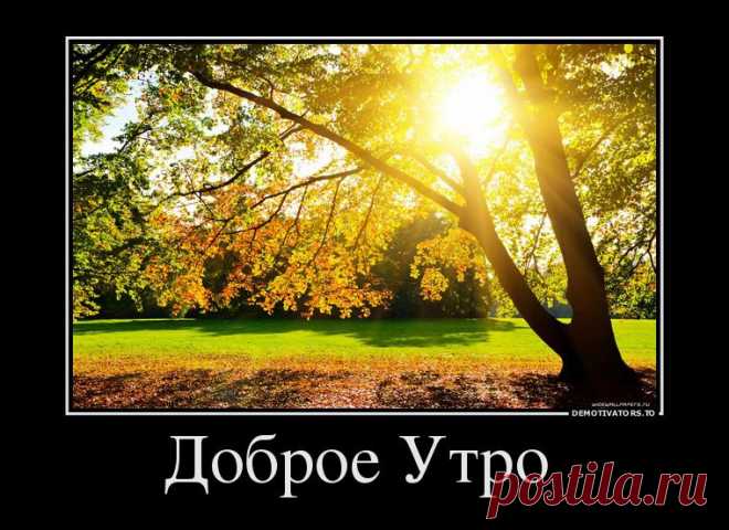 Доброе утро
