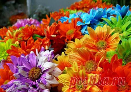 радужные картинки: 34 тыс изображений найдено в Яндекс.Картинках