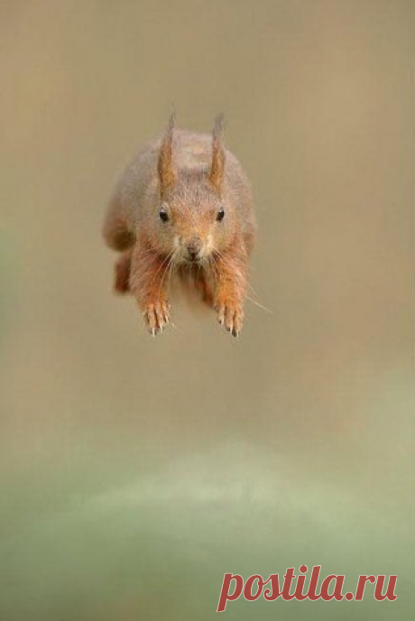 Взгляни на мир | путешествия, арт, фото