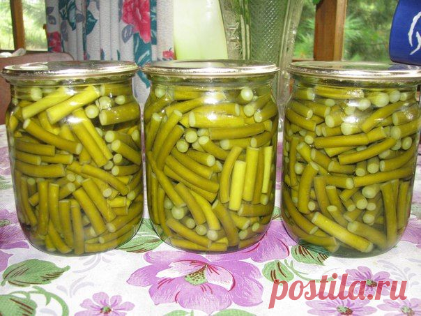 Маринованные чесночные стрелки