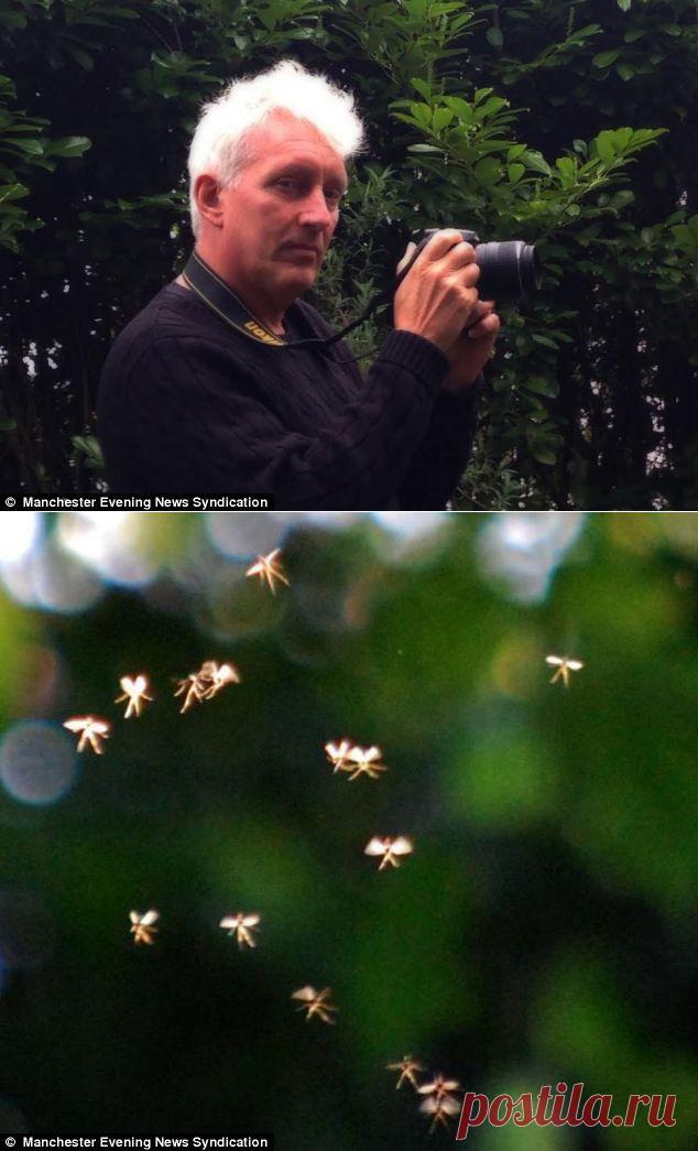 05.04.2014. - Доцент британского университета фотографирует фей
