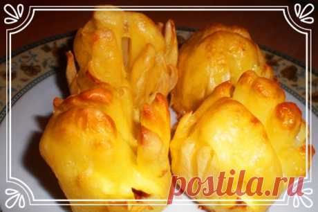 Ароматный картофель «Дофине» (рецепт к Новому году, и не только, и на скорую руку) 

Сложность: простая. 

Ингредиенты: 
Показать полностью…