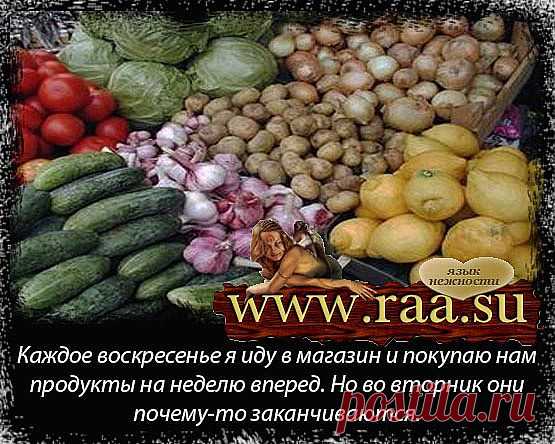 Договор купли-продажи продуктов | Купля-продажа сельхоз продуктов