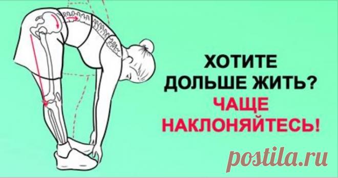 Хочешь жить дольше? Чаще наклоняйся!