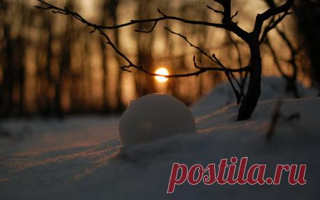 Обои на рабочий стол с природой - «Зимний лес на закате»...