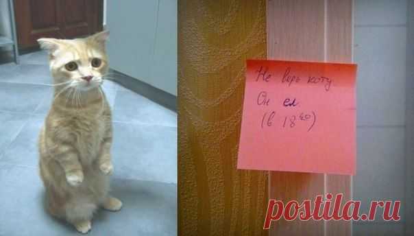 Мой Мир@Mail.Ru