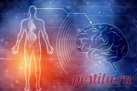 Занимательные факты о человеческом организме (часть 3) Большинство человеческих мутаций происходят в Y-хромосоме, которая встречается только у мужчин.